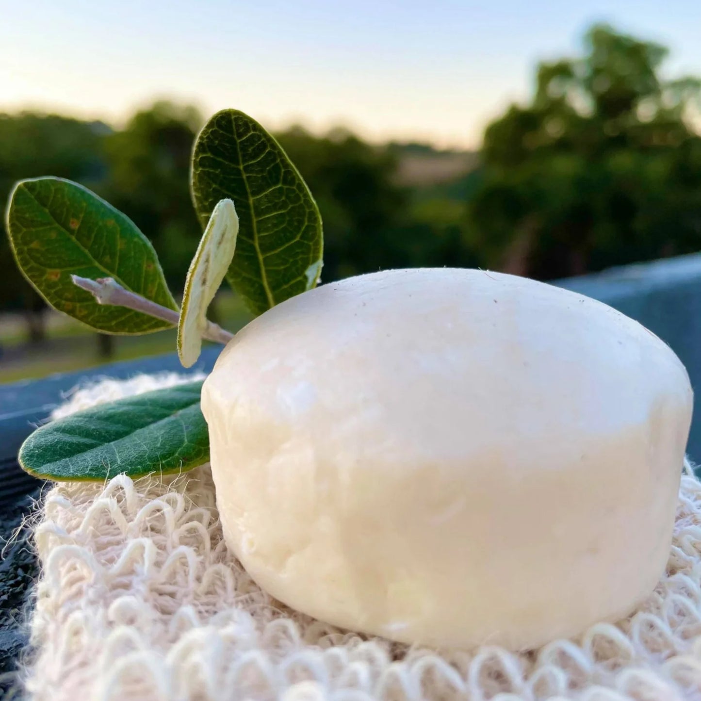 ECO-FRIENDLY ORIGINAL SHAMPOO BAR