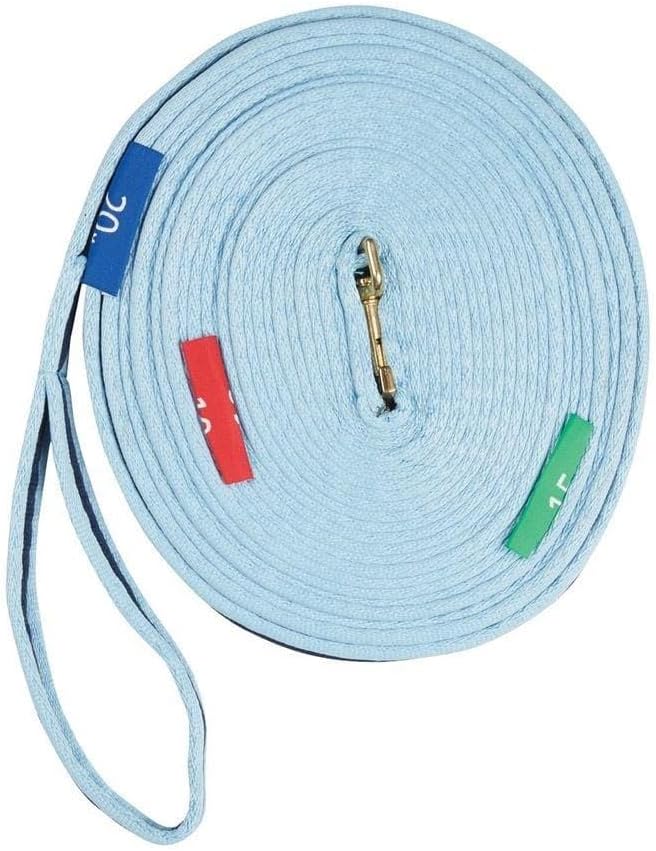 KINCADE TWO TONE LUNGE LINE WITH CIRCLE MARKERS