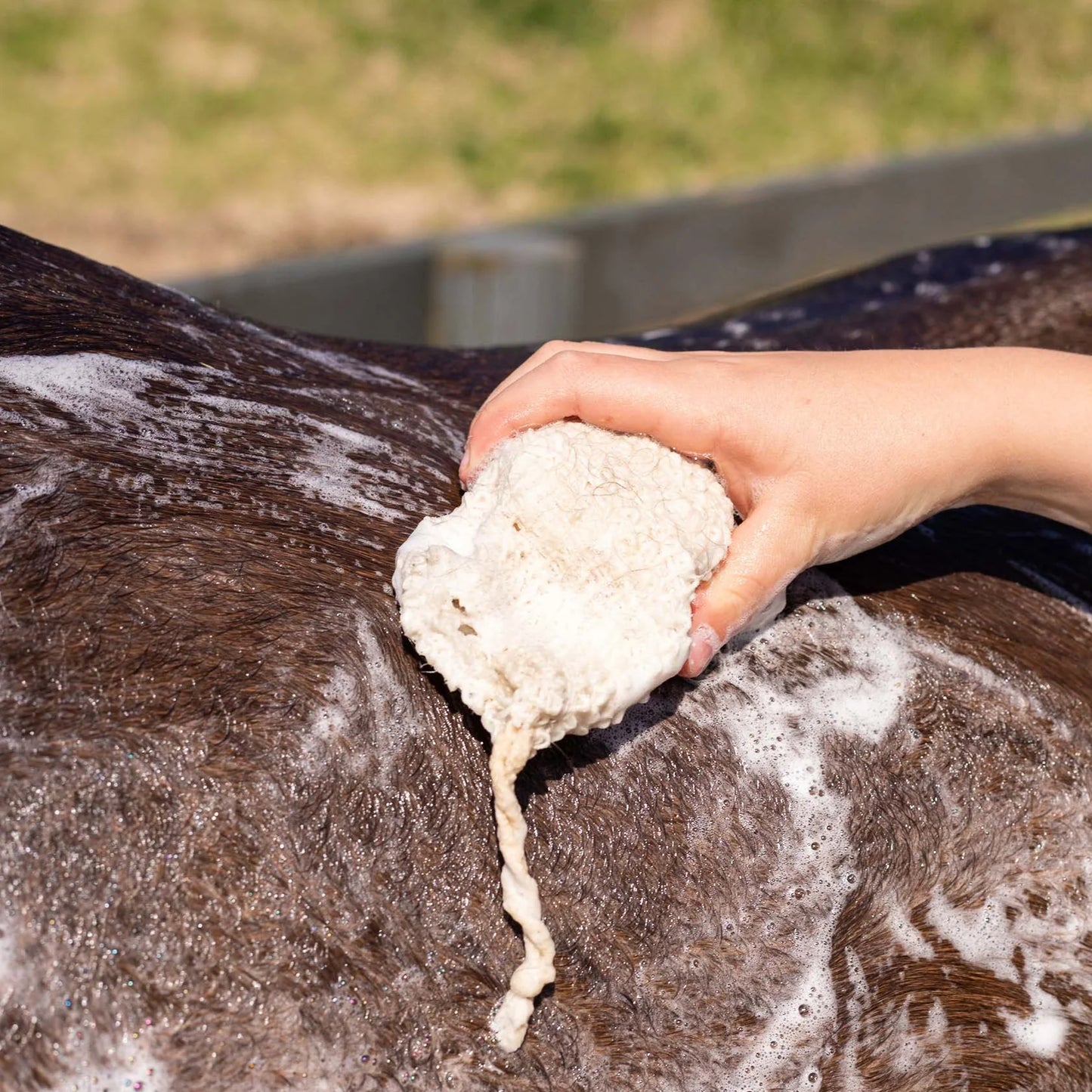 ECO-FRIENDLY ORIGINAL SHAMPOO BAR