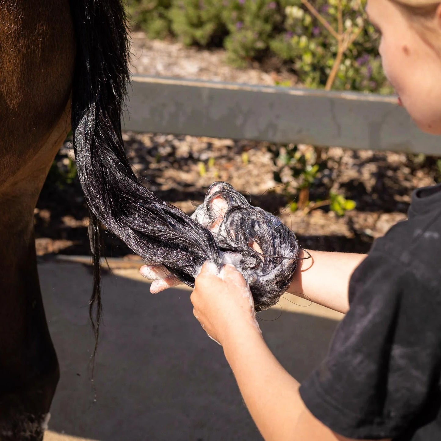 NATURAL HORSE SHAMPOO