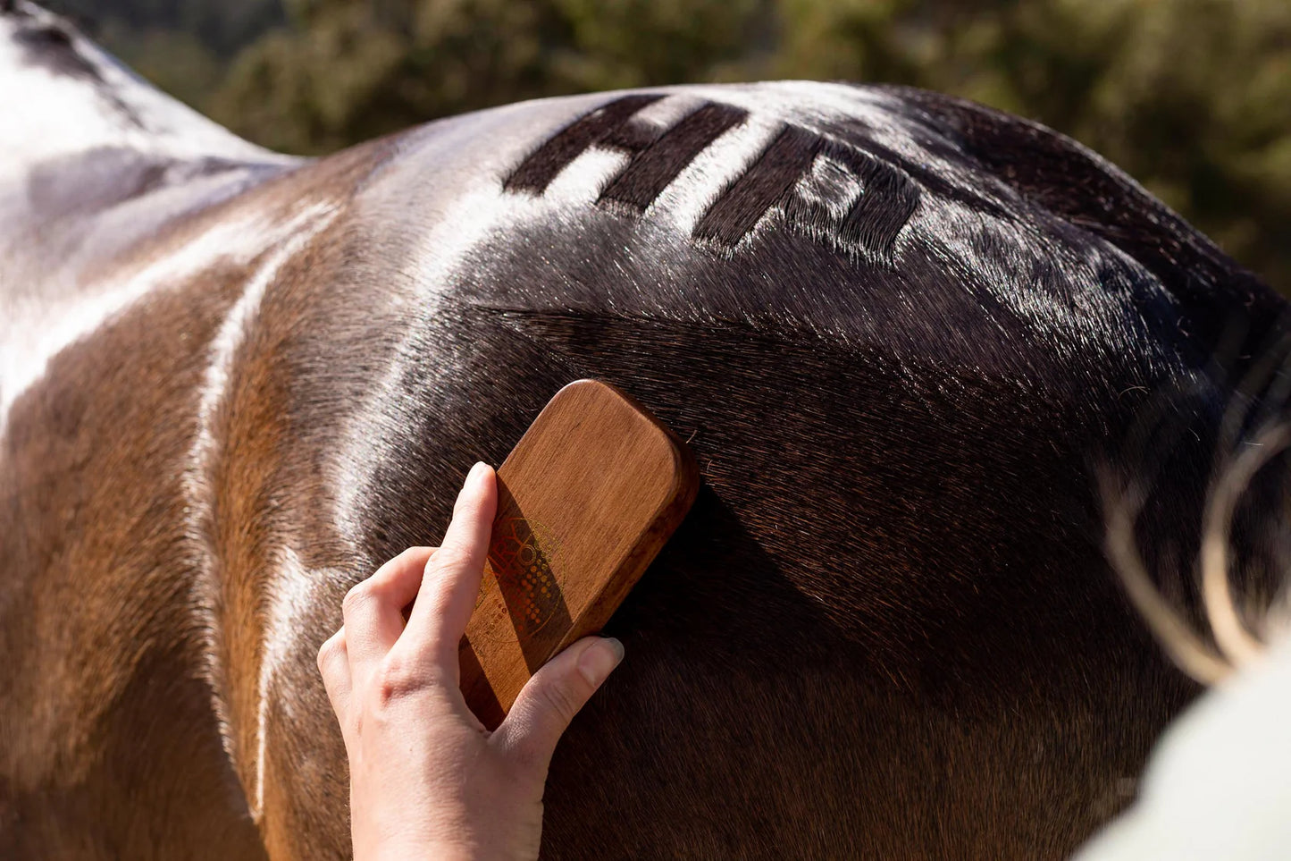 QUARTER MARK HORSE BRUSH