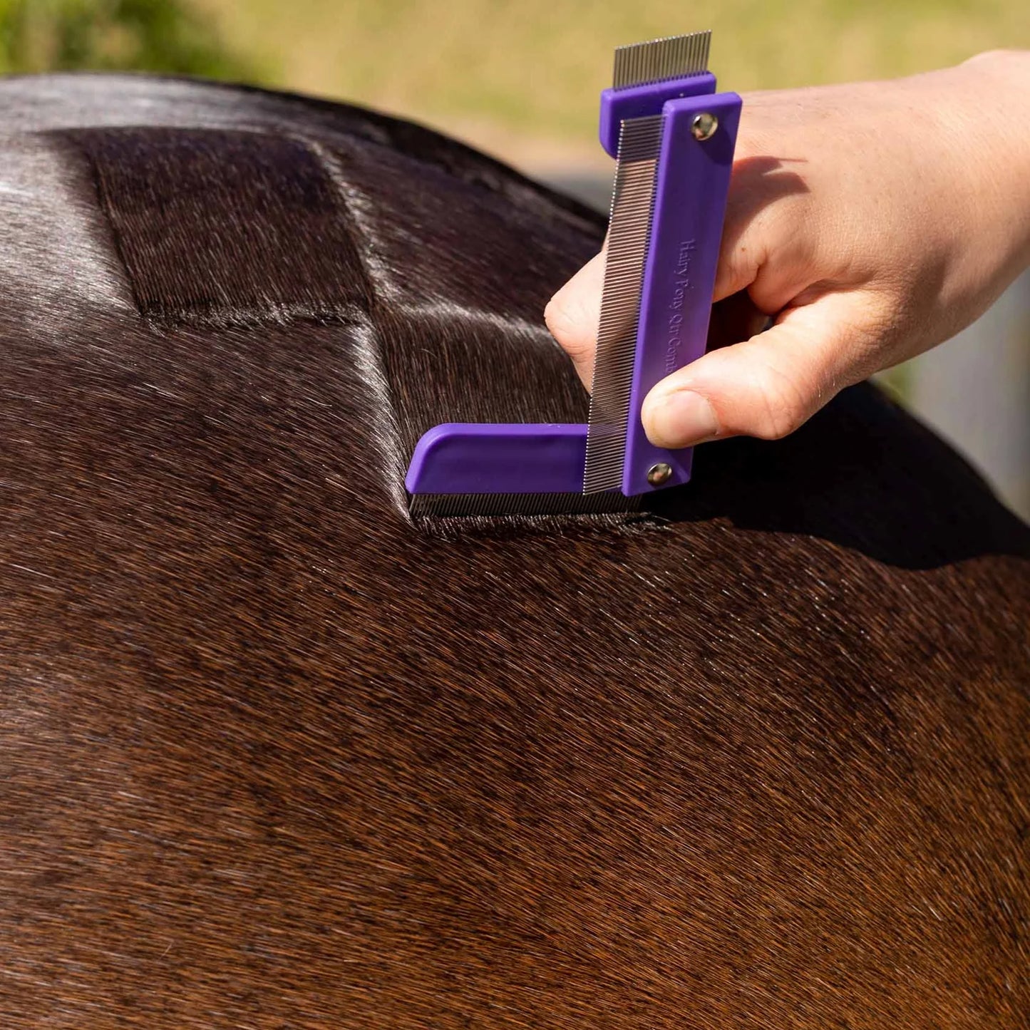 QUARTER MARK HORSE COMB