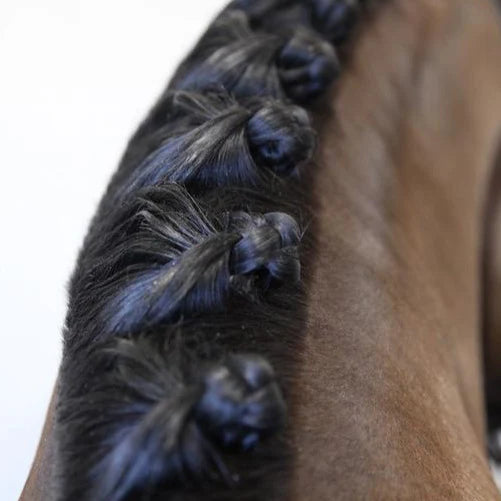 HORSE MANE SECTIONING COMB