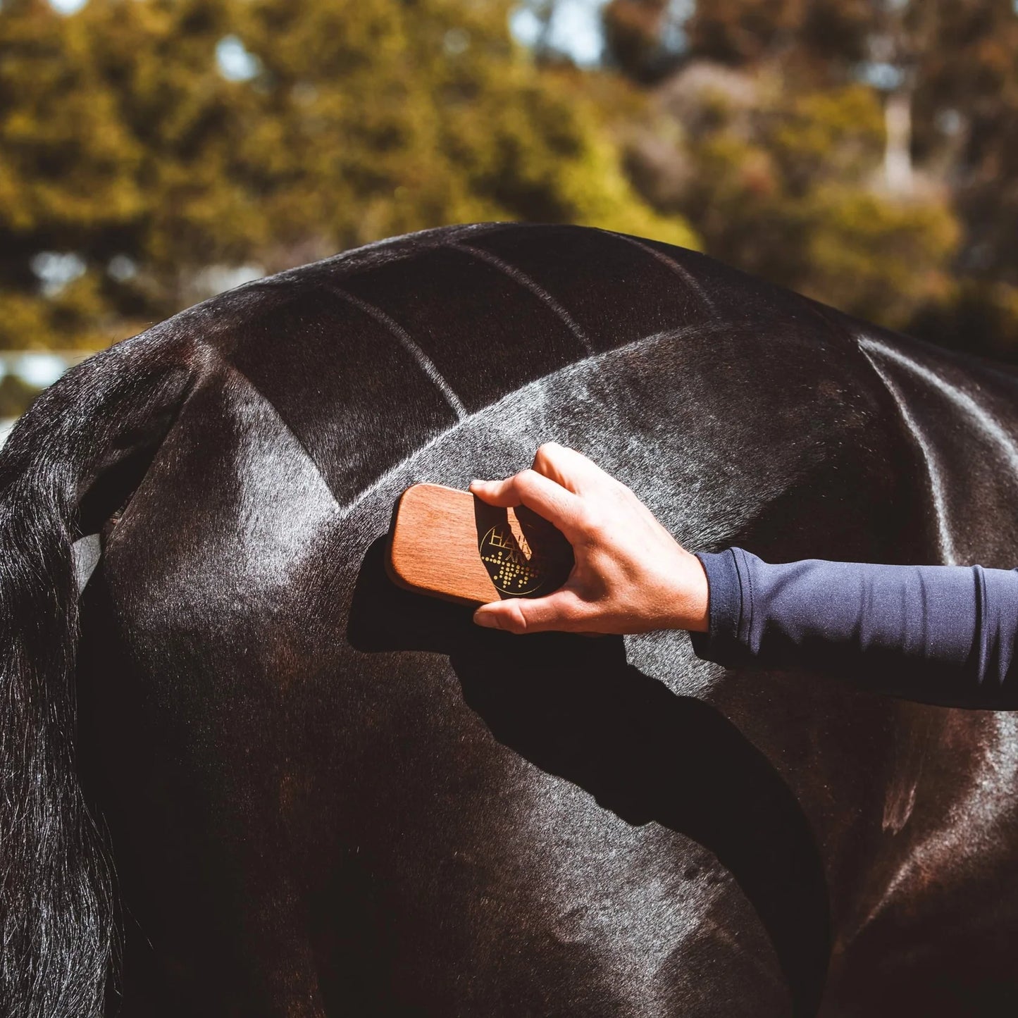 QUARTER MARK HORSE BRUSH