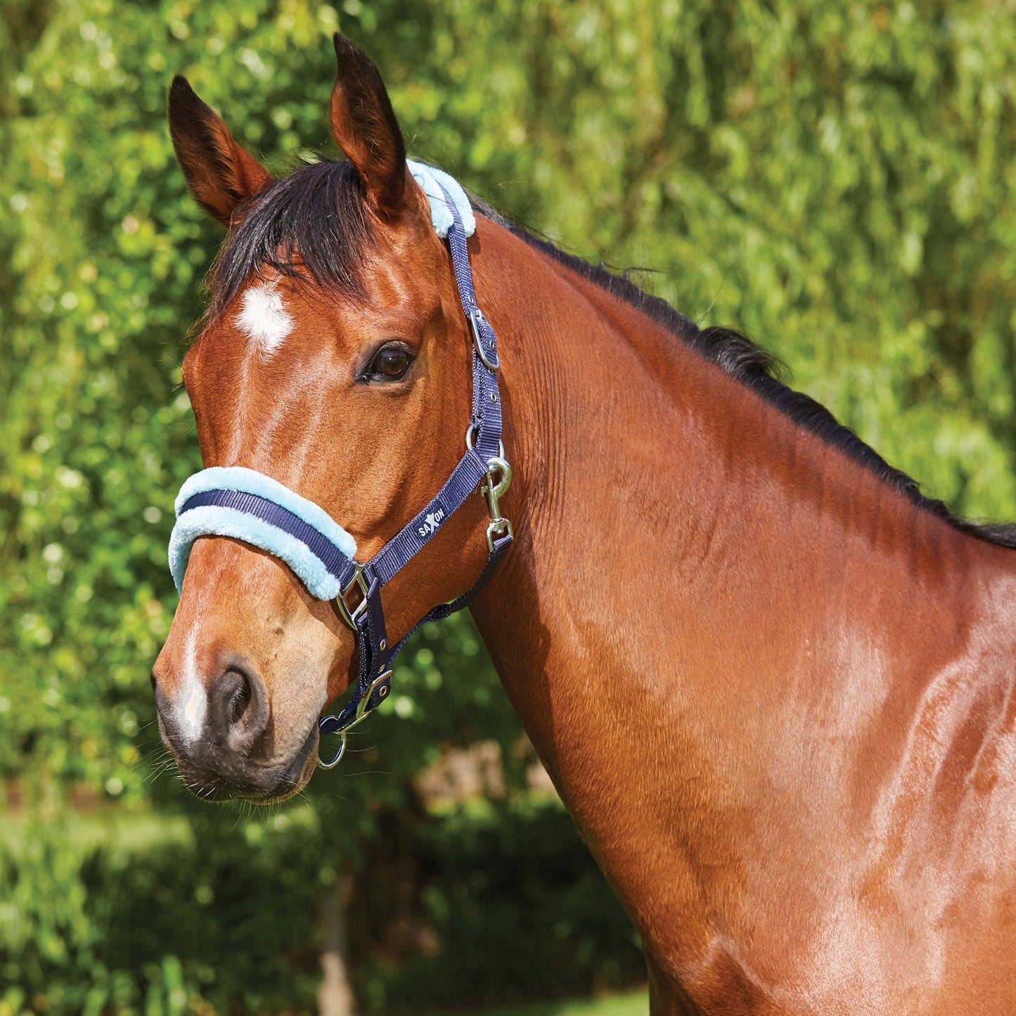 SAXON ELEMENT FLEECE HEADCOLLAR