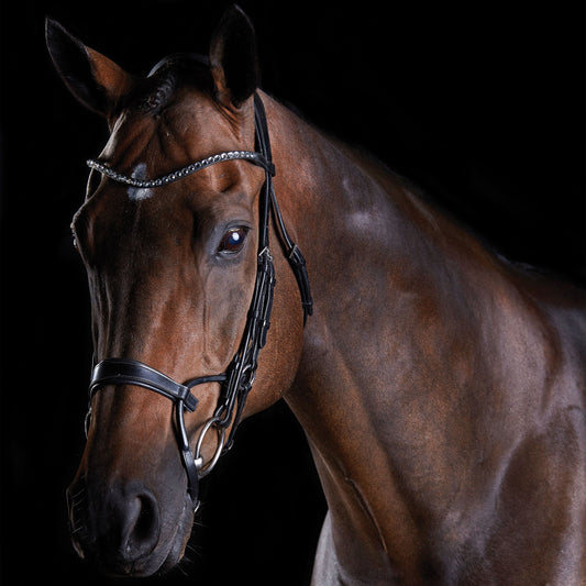 COLLEGIATE COMFITEC CRYSTAL BRIDLE