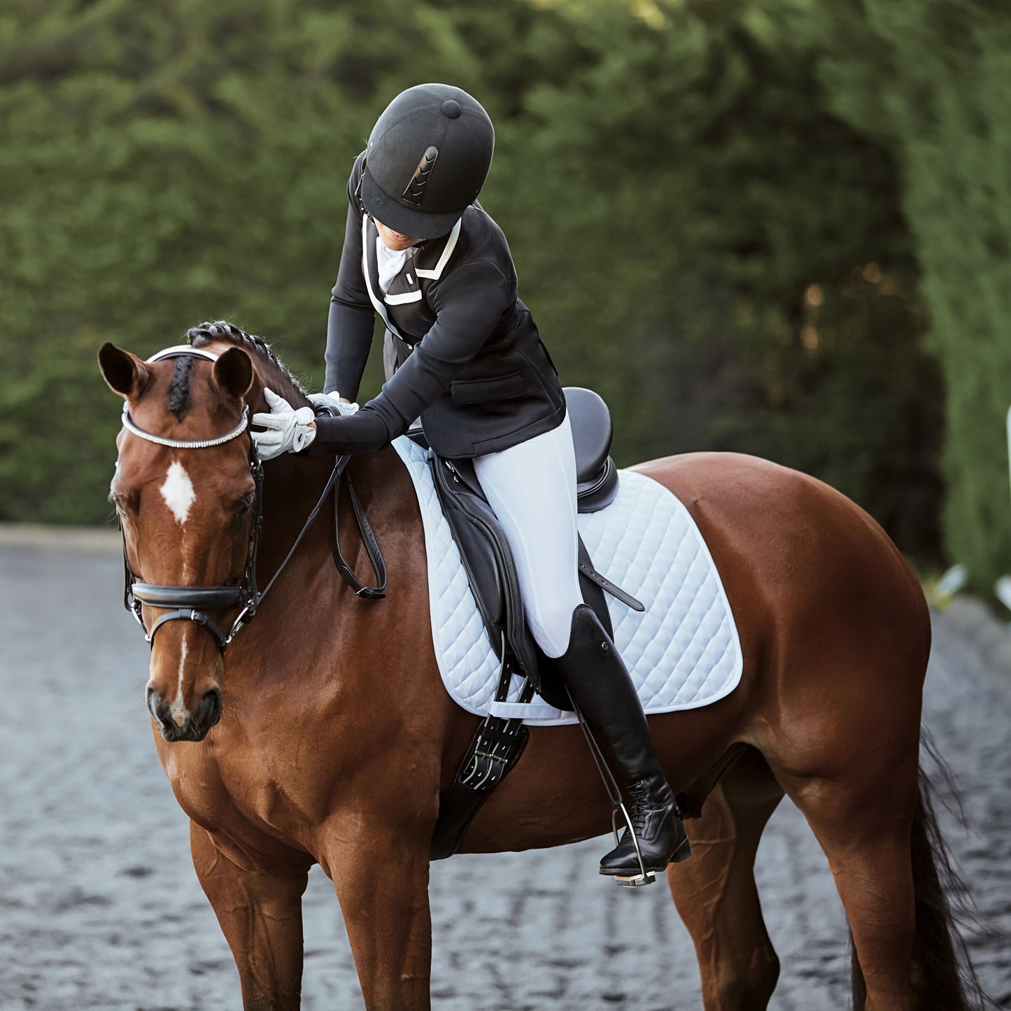 COLLEGIATE LECTERN DRESSAGE SADDLE