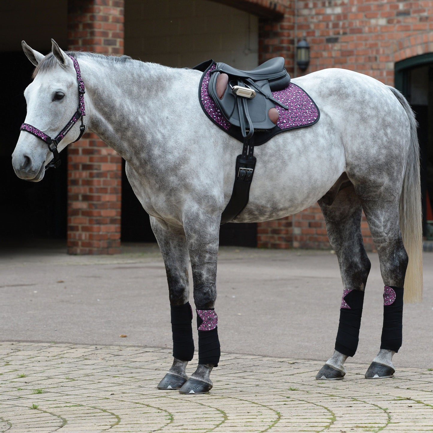 WEATHERBEETA PRIME LEOPARD JUMP SHAPED SADDLE PAD