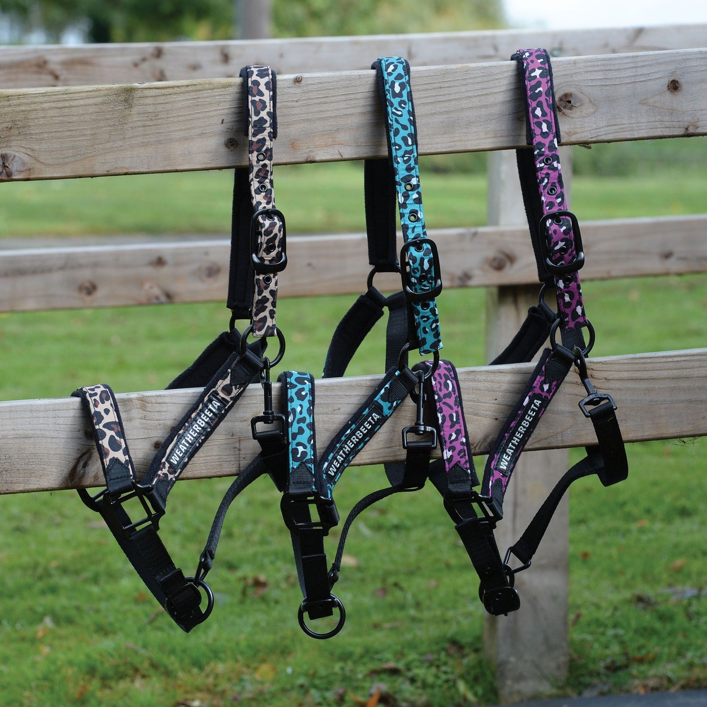 WEATHERBEETA LEOPARD HEADCOLLAR