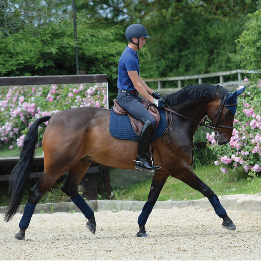 COLLEGIATE DEGREE MONO EVENT SADDLE