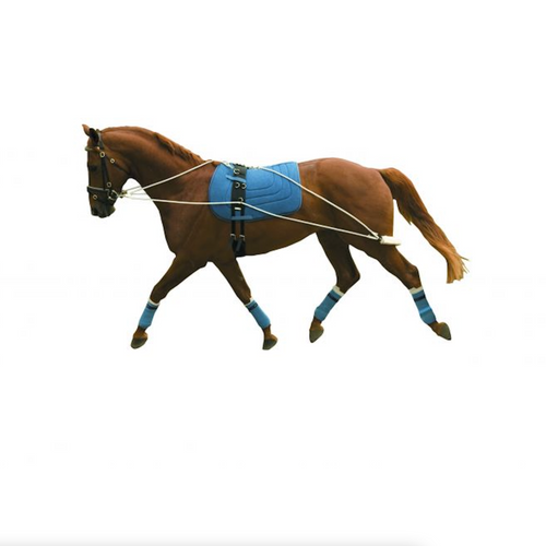 KINCADE LUNGING TRAINING SYSTEM