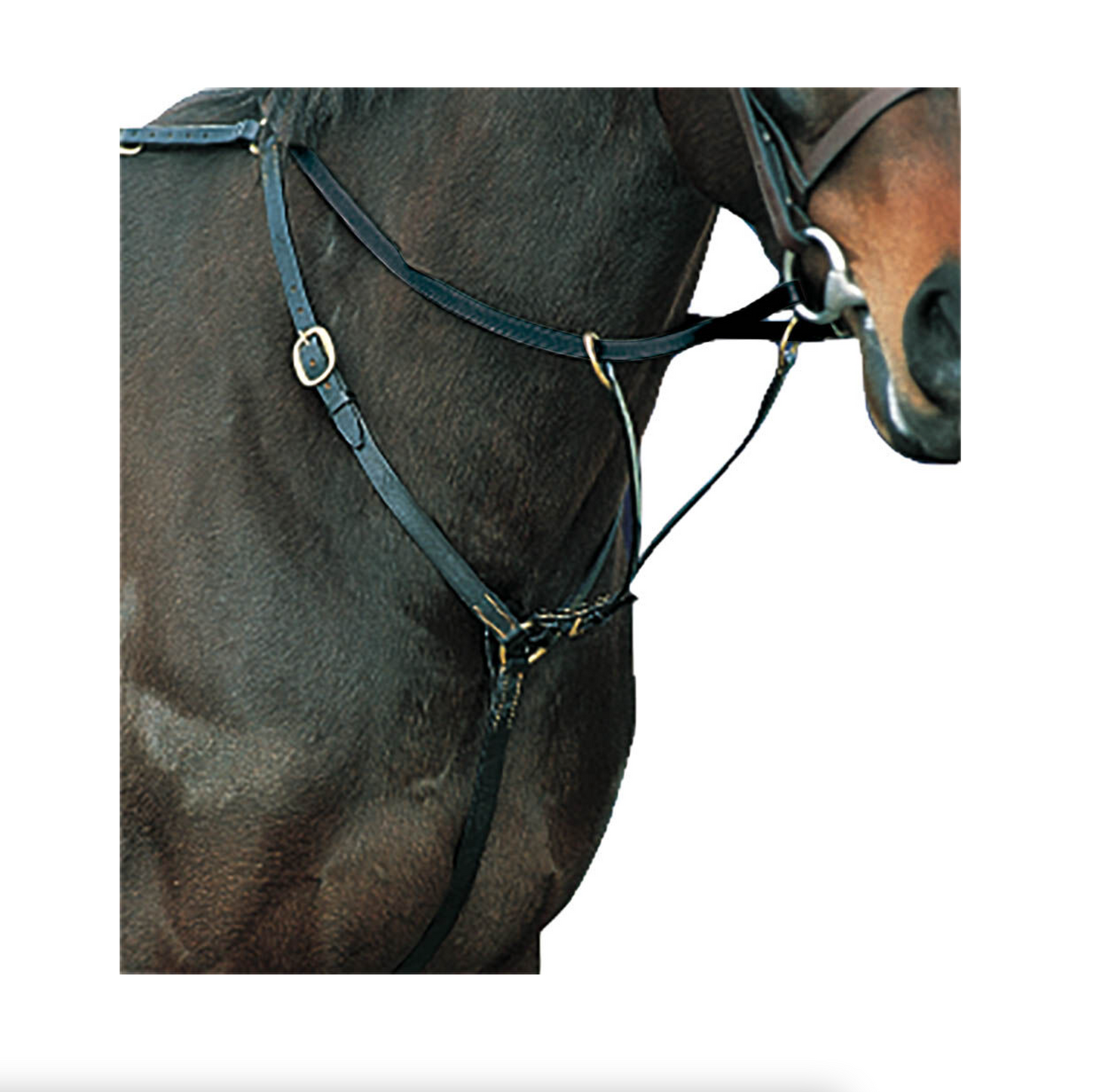 KINCADE EVENT/HUNT BREASTPLATE