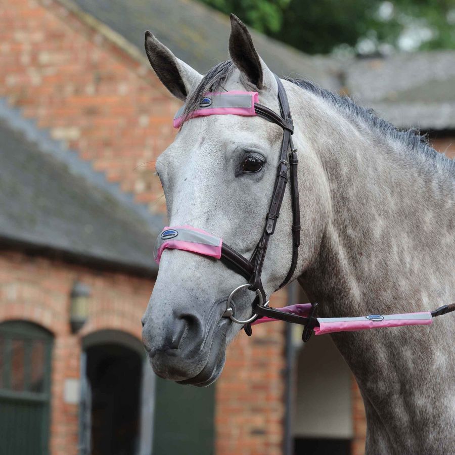 WEATHERBEETA REFLECTIVE BRIDLE KIT 4 PIECE