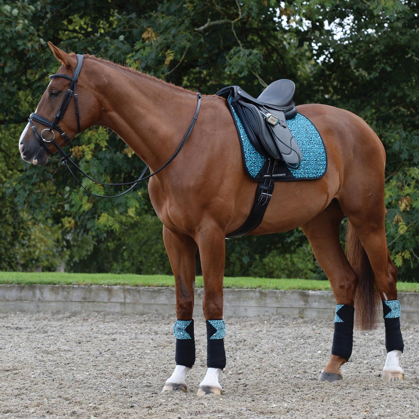 WEATHERBEETA PRIME LEOPARD DRESSAGE SADDLE PAD