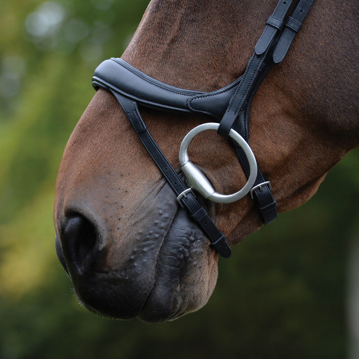 COLLEGIATE COMFITEC VOGUE ANATOMICAL BRIDLE